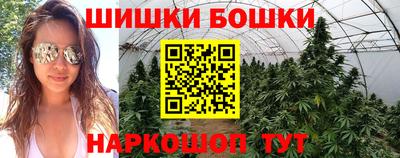 a pvp Славянск-на-Кубани