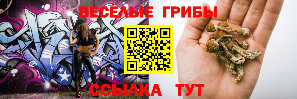 Псилоцибиновые грибы мухоморы  Вход с VPN  Нерюнгри  Псилоцибиновые грибы MAGIC MUSHROOMS 