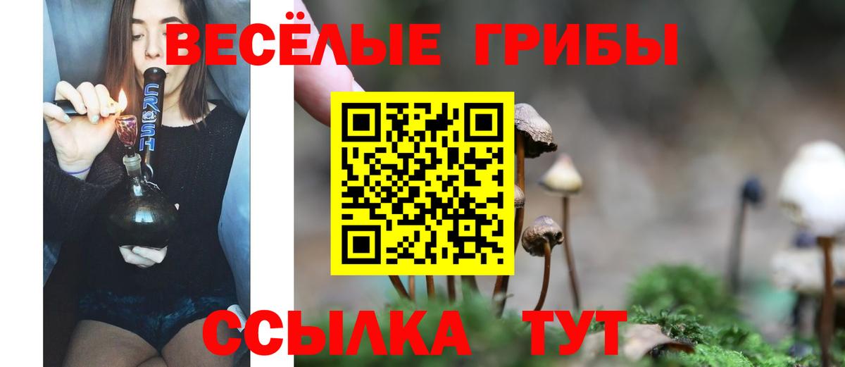 Галлюциногенные грибы MAGIC MUSHROOMS Нерюнгри